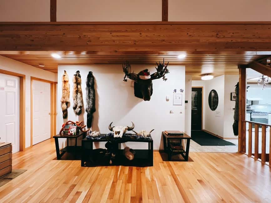 Madeline Lake: Aurora Lodge and Aurora Chasing Tour - Who will enjoy this most