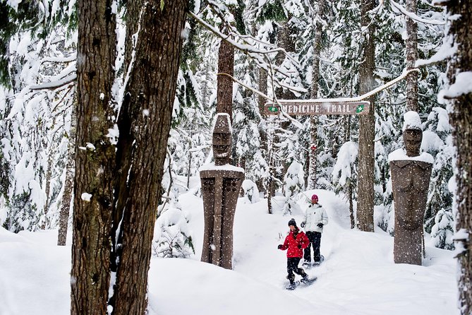 Medicine Trail Snowshoe Tour - Why the Medicine Trail feels different from a standard snowshoe outing