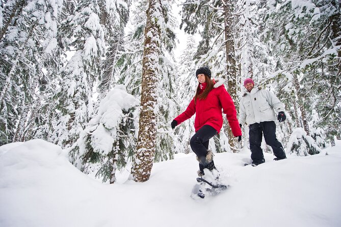 Medicine Trail Snowshoe Tour - From Carlton Lodge to Callaghan Valley