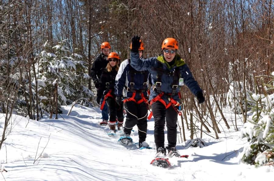 Mont-Catherine: Ziplines & Hike - Second ride: 2,132 feet along the treetops