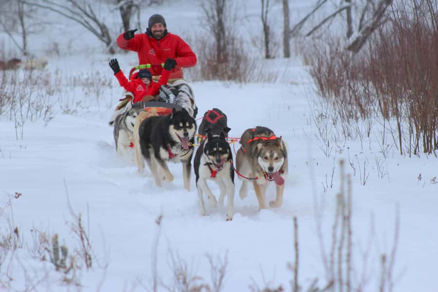 Mont-Tremblant: Dogsledding Valley Adventure - Getting ready to drive a dog team
