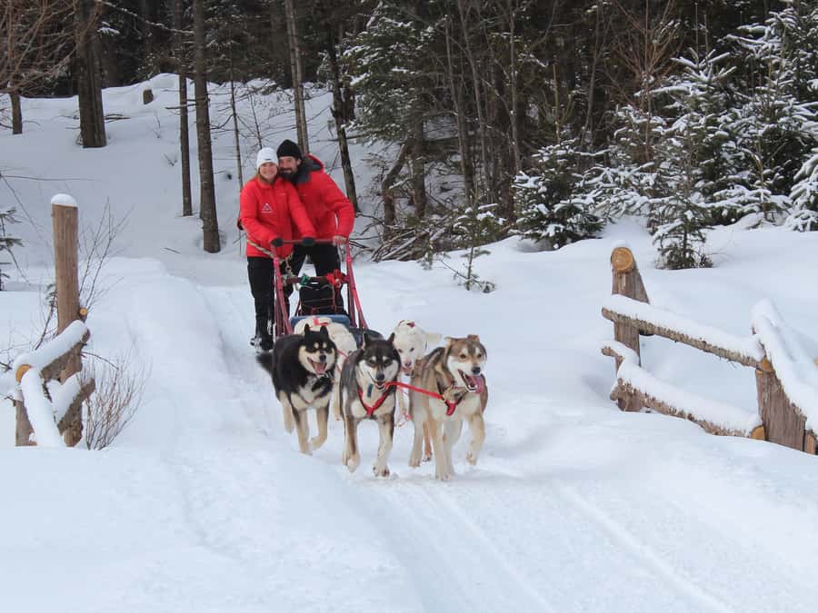 Mont-Tremblant: Dogsledding Valley Adventure - Warming up in a shack by the fire