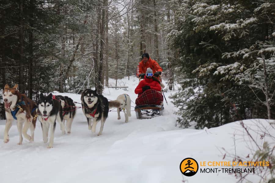 Mont-Tremblant: Dogsledding Valley Adventure - Returning to the kennel for dogs, puppies, and soup