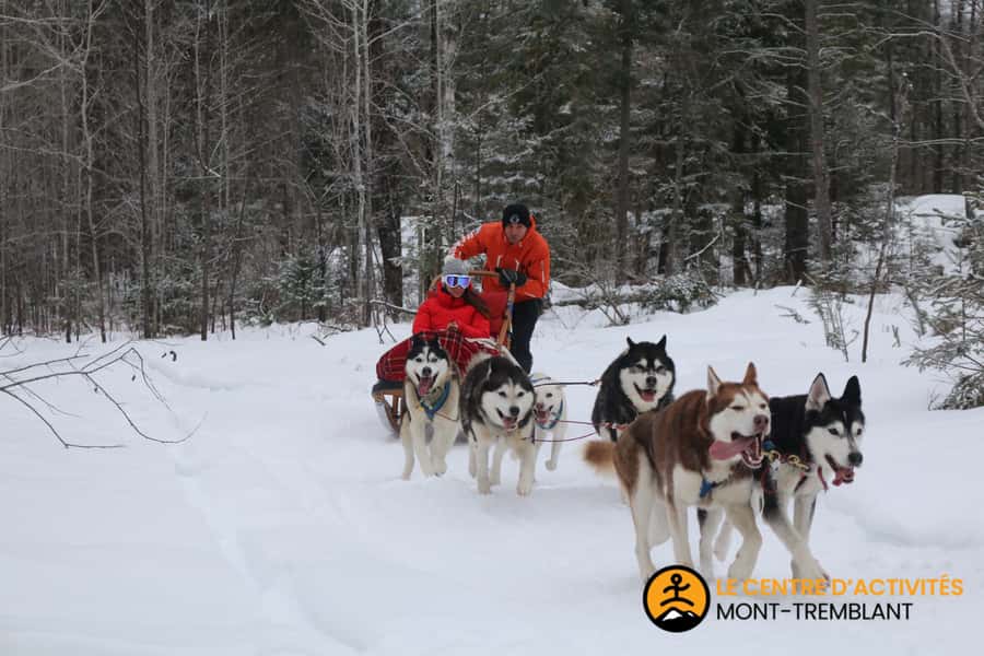 Mont-Tremblant: Dogsledding Valley Adventure - Finding Fort Ouest from Mont-Tremblant