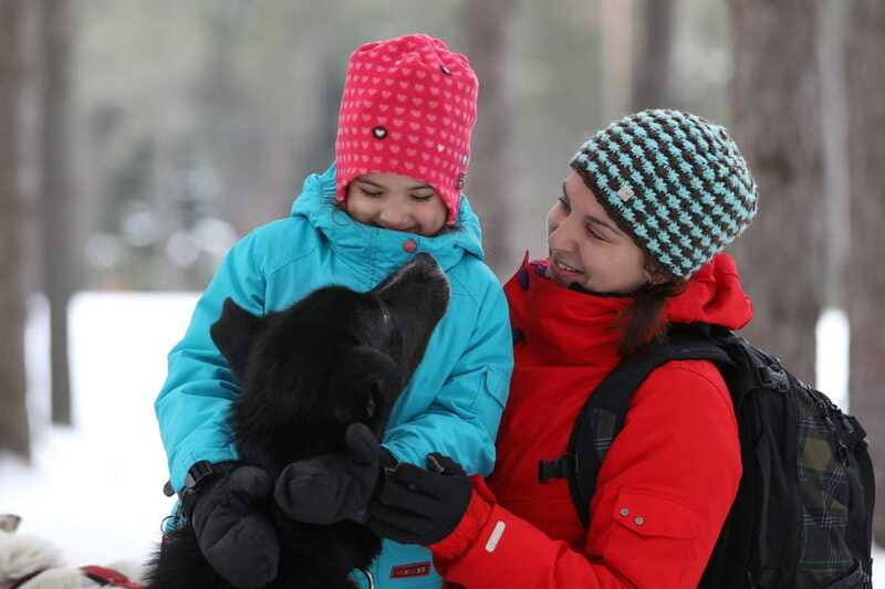 Mont-Tremblant: Guided Dogsledding Tour with Hot Chocolate - Meeting the dogs after the ride