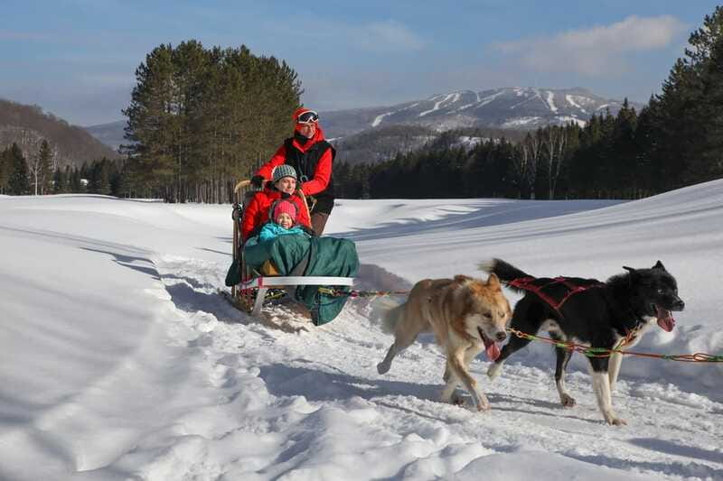 Mont-Tremblant: Guided Dogsledding Tour with Hot Chocolate - Language, group size, and guide support