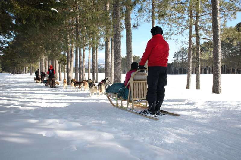 Mont-Tremblant: Guided Dogsledding Tour with Hot Chocolate - The safety briefing and learning to mush