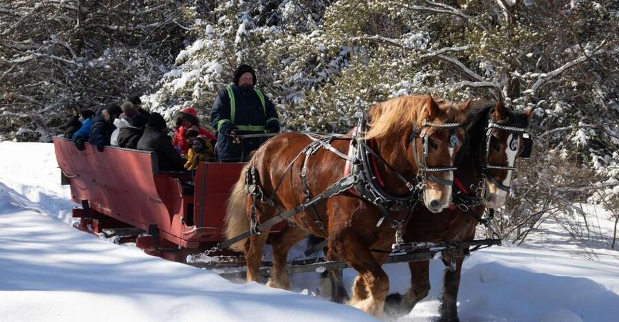 Mont-Tremblant: Sleigh Ride w/ Storytelling & Hot Chocolate - Key points to know before you book