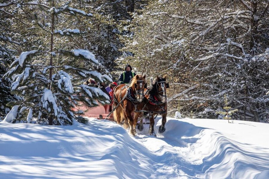 Mont-Tremblant: Sleigh Ride w/ Storytelling & Hot Chocolate - A gentle ride with a distinctly Québécois touch