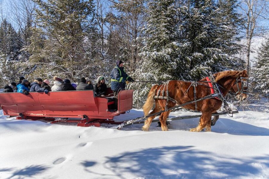 Mont-Tremblant: Sleigh Ride w/ Storytelling & Hot Chocolate - From open fields into the forest