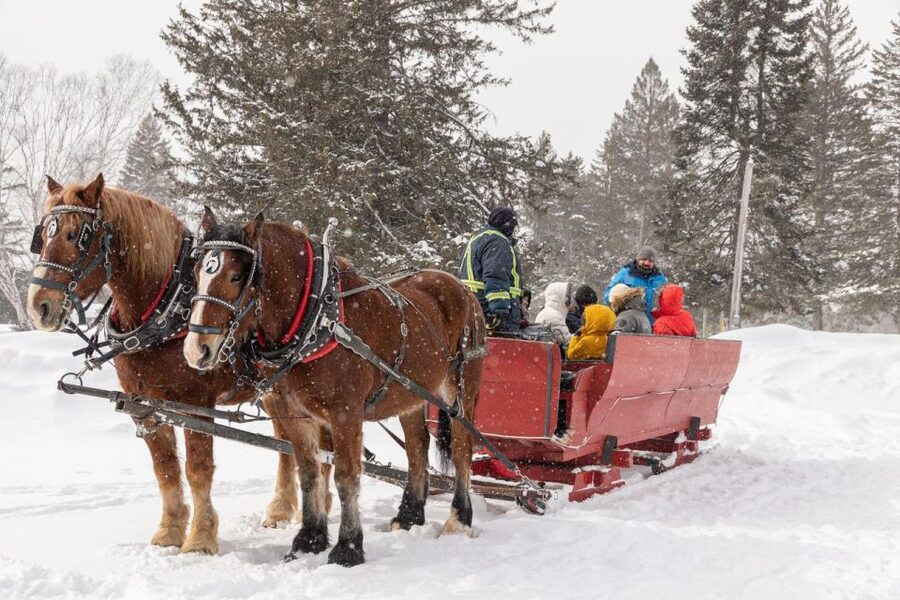Mont-Tremblant: Sleigh Ride w/ Storytelling & Hot Chocolate - Local legends, folk songs, and live instruments