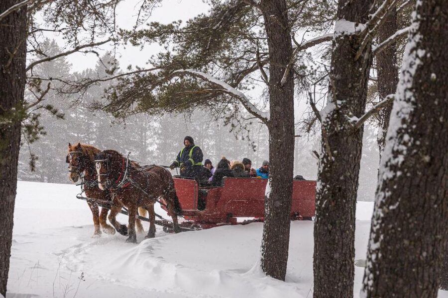 Mont-Tremblant: Sleigh Ride w/ Storytelling & Hot Chocolate - Why the timing matters after 3:00 p.m.