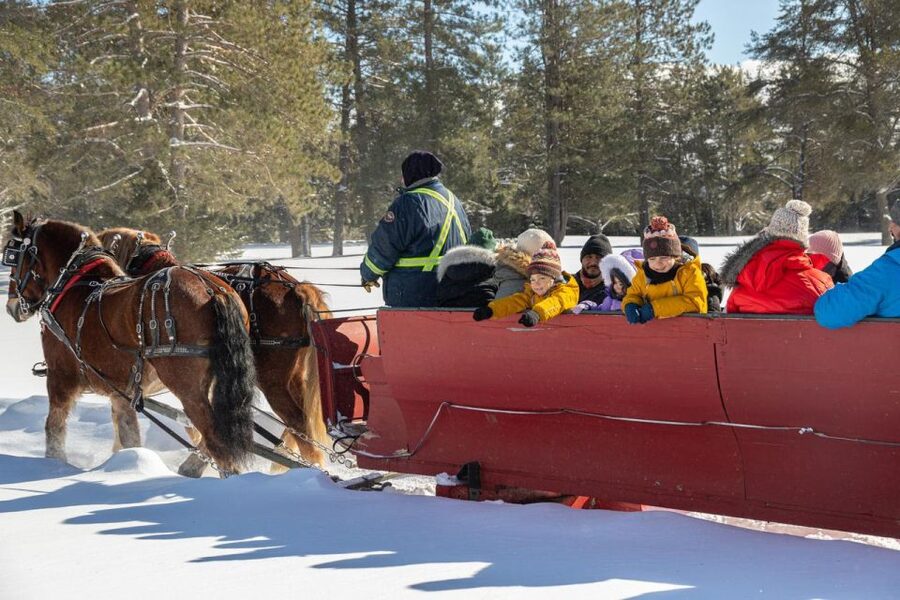 Mont-Tremblant: Sleigh Ride w/ Storytelling & Hot Chocolate - Is $44 a fair price for one hour?