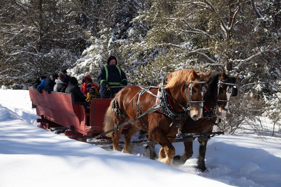 Mont-Tremblant: Sleigh Ride w/ Storytelling & Hot Chocolate - How this compares with a typical resort activity