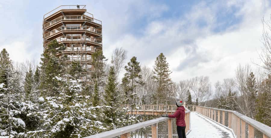 Mont-Tremblant: Treetop Observatory and Self-Guided Walk - Key points to know before you go