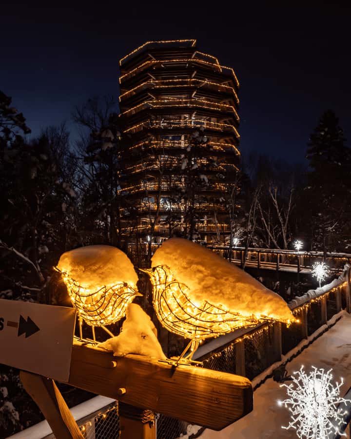 Mont-Tremblant: Treetop Observatory and Self-Guided Walk - How it compares with other Mont-Tremblant outings