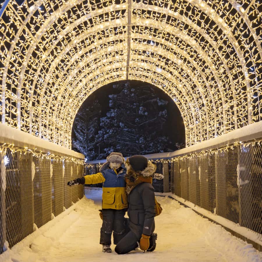Mont-Tremblant: Treetop Observatory and Self-Guided Walk - A forest walk with a tower at the end
