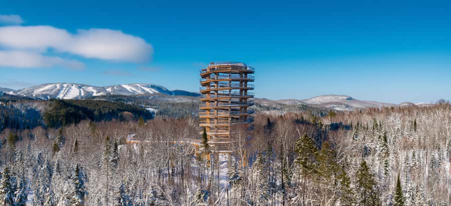 Mont-Tremblant: Treetop Observatory and Self-Guided Walk - The 40-meter climb without a mountain hike