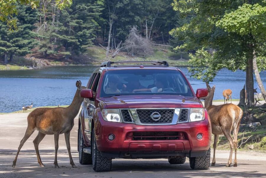 Montebello, QC: General Admission to Parc Omega - Practical rules that shape the visit