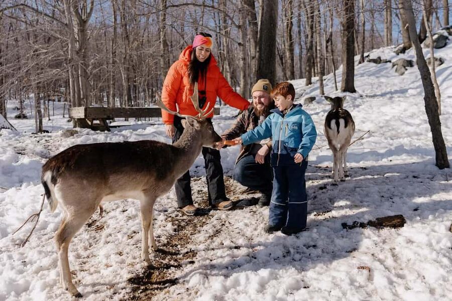 Montebello, QC: Morning VIP Tour at Parc Oméga - Why the early morning start matters