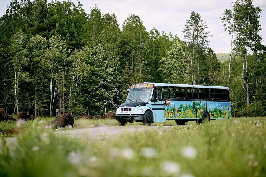 Montebello, QC: Morning VIP Tour at Parc Oméga - Feeding stops are the heart of the morning