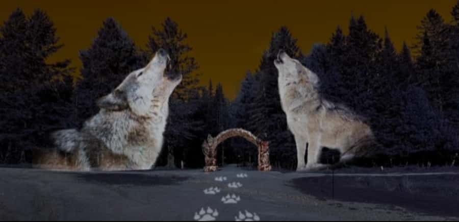 Montebello, QC: Omega Park ONIRO Immersive Experience at Night - Oniro turns the forest into a nighttime story