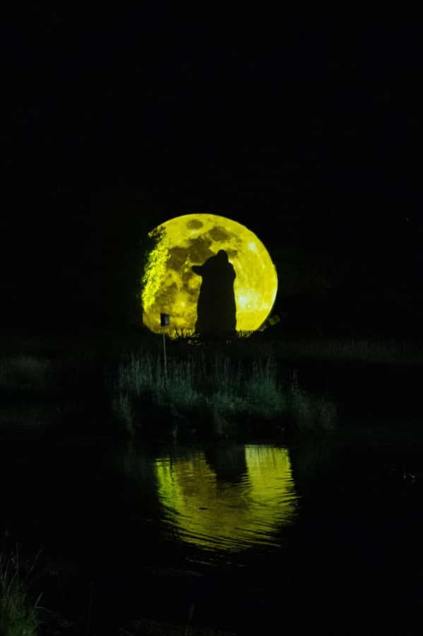 Montebello, QC: Omega Park ONIRO Immersive Experience at Night - Sunset is the best part of the timing