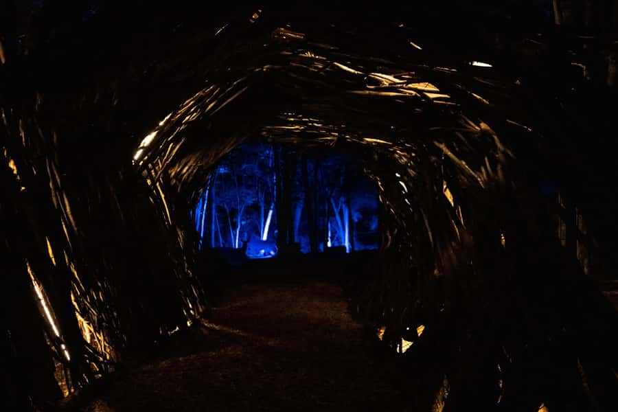 Montebello, QC: Omega Park ONIRO Immersive Experience at Night - Is the $24 price good value?
