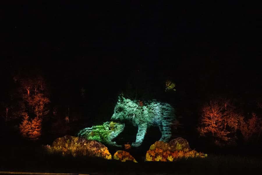 Montebello, QC: Omega Park ONIRO Immersive Experience at Night - Why the forest setting adds value