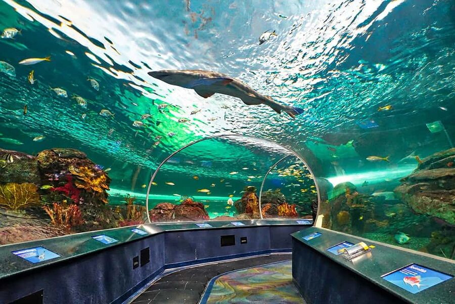 Montreal: 3-Day Toronto, Niagara Falls, Thousand Islands - What the $547 price really covers
