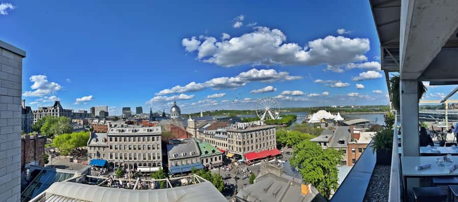 Montreal 3-Hour Private Car Tour with Expert Local Guide - Downtown Montreal, from McGill to the Underground City