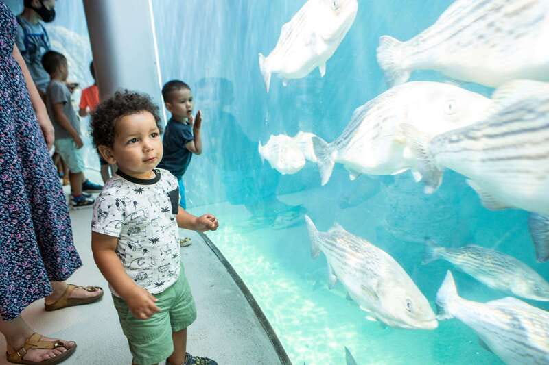 Montreal: 5 Attractions Pass - FAQ