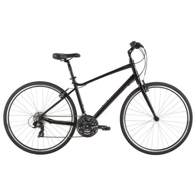 Montreal: All-Day Bicycle Rental - Downtown, the Village, and Plateau Mont-Royal