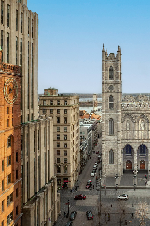Montreal: AURA Experience at Notre-Dame Basilica and Cruise - Who will enjoy this combination most