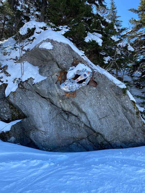 Montreal: Canadian Forest Guided Tour by Snowmobile - Booking details worth knowing