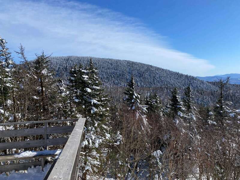 Montreal: Canadian Forest Guided Tour by Snowmobile - Through the Laurentians toward Olympia Mount