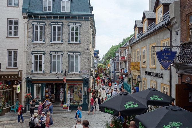 Montreal City Sightseeing Tour with Live Commentary - Old Montreal and the Old Port