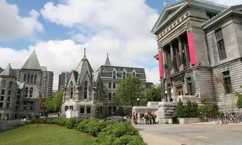 Montreal : Downtown & Underground Walking Tour with a Guide - Who will get the most from this walk?