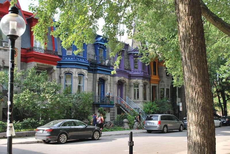 Montreal: Full-Day Small Group City Tour - Why this seven-hour tour works well for a first Montreal visit