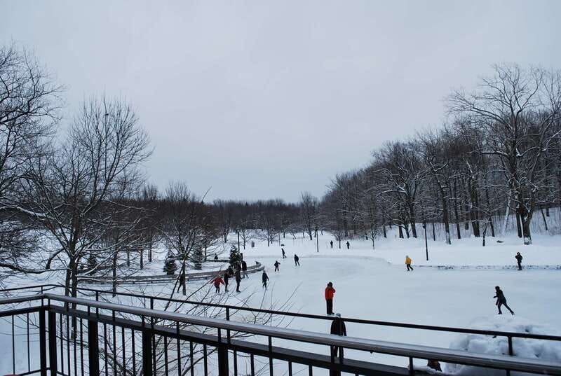 Montreal: Full-Day Small Group City Tour - Old Montreal: lunch, shopping, and a short historic walk