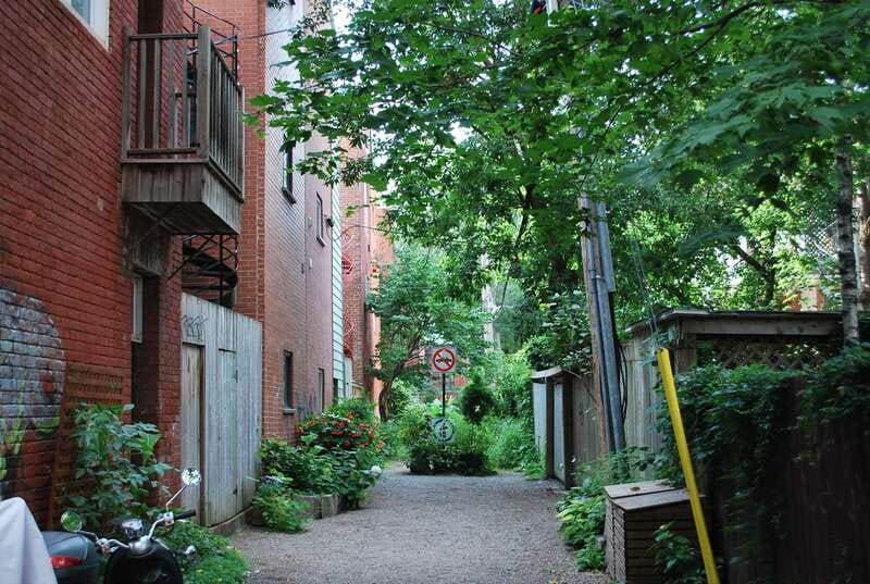 Montreal: Full-Day Small Group City Tour - The vehicle, group size, and pace
