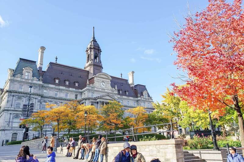 Montreal: Guided Bus Tour - The Old Port and the St. Lawrence River