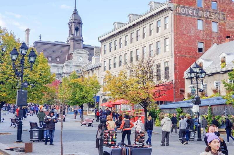 Montreal: Guided Bus Tour - McGill and the Universite de Montreal