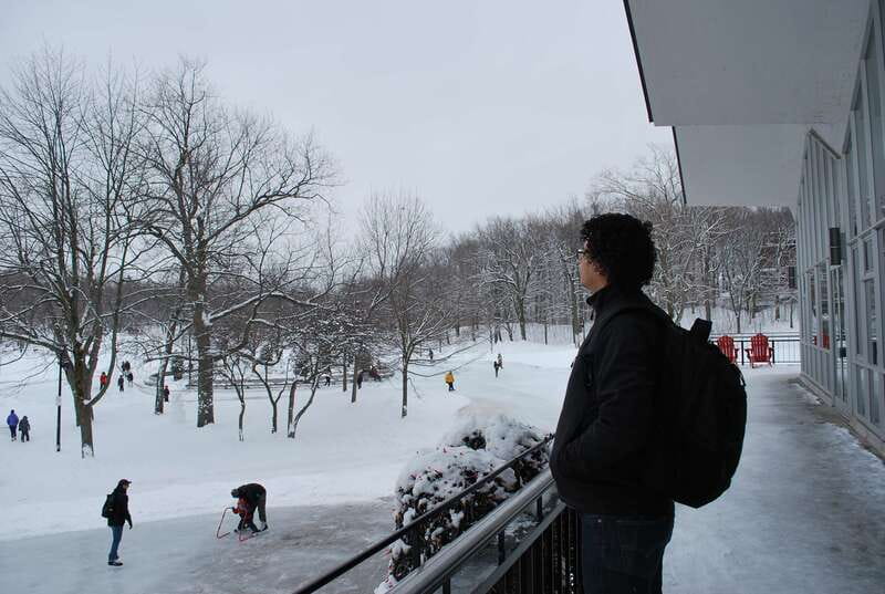 Montreal: Half-Day City Tour - Transport, walking, and weather