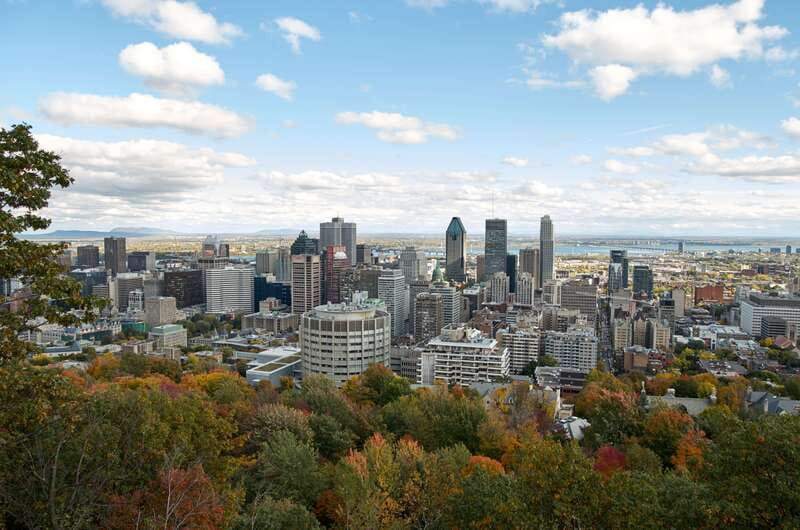 Montreal: Half-Day City Tour - Mount Royal Park, Beaver Lake, and the city from above