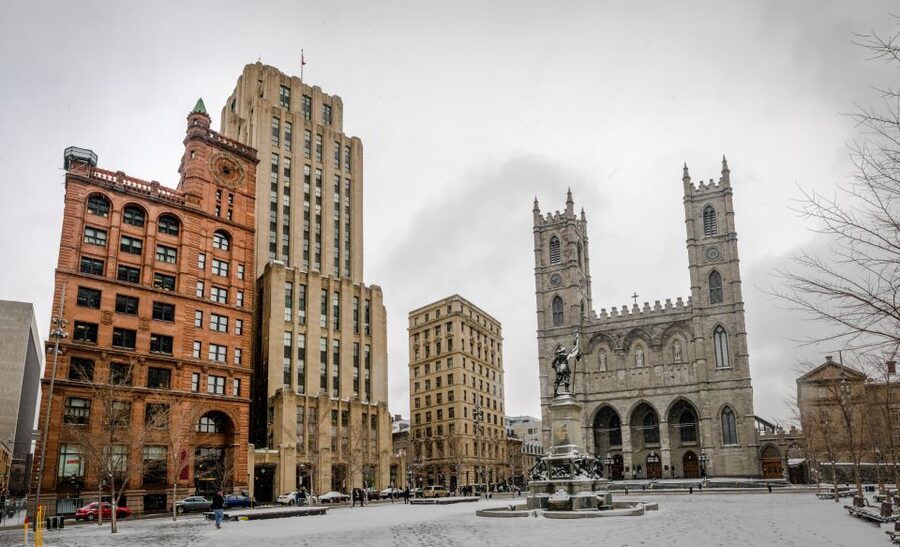 Montreal: Half-Day City Tour - What the guide adds to the drive