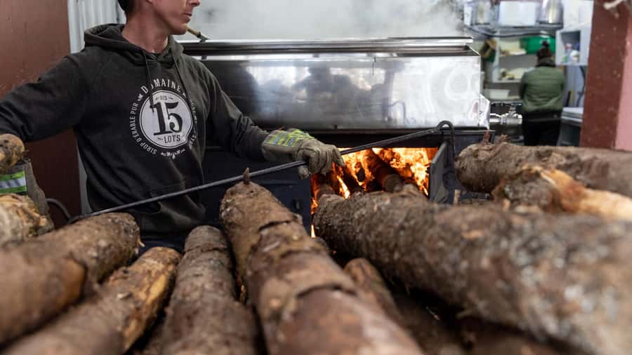 Montréal: Maple Syrup Tasting Conference! - Taffy on snow, the fun finale