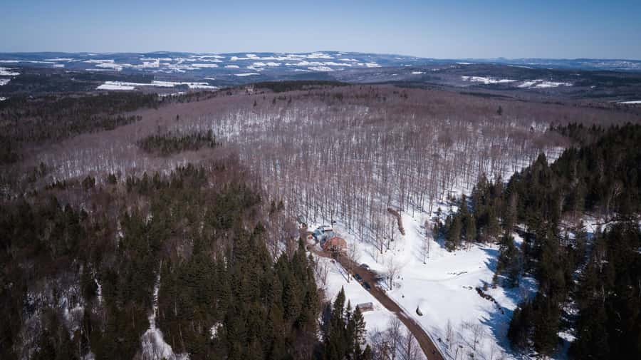 Montréal: Maple Syrup Tasting Conference! - Timing, language, and group size