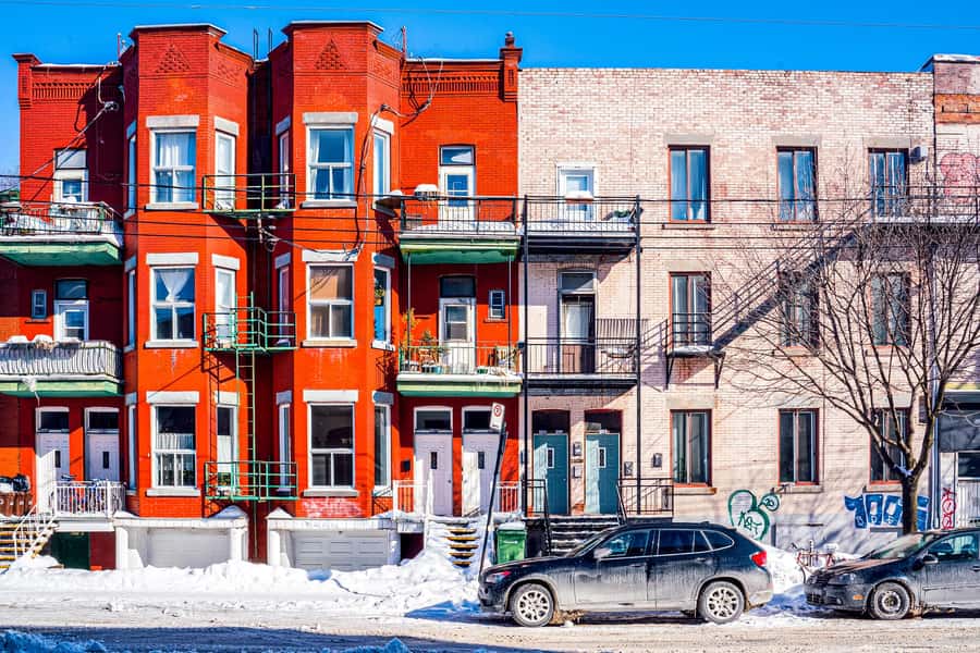 Montreal: Mile End District Food Tour with 8+ Tastings - What the guides add