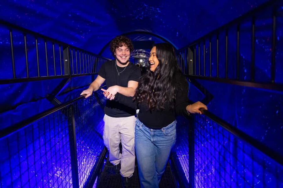 Montreal: Museum of Illusions Entry Ticket - Holograms, stereograms, and the science of seeing